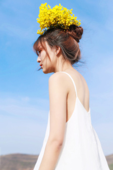 布拉芙夫人在线